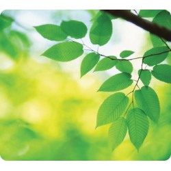 FELLOWES MOUSE PAD OPTICAL LEAVES RECYCLED