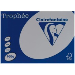 TROPHEE CARD A4 STEEL GREY 160GSM 250 SHEETS