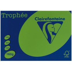 TROPHEE CARD A4 INTENSIVE GREEN 160 GSM 250 SHEETS