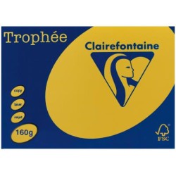TROPHEE CARD A4 INTENSIVE YELLOW 160 GSM 250 SHEETS