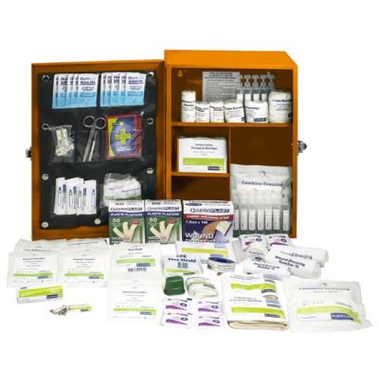 Platinum First Aid Kit 172 Piece Large - Green Metal Cabinet Wall Mount