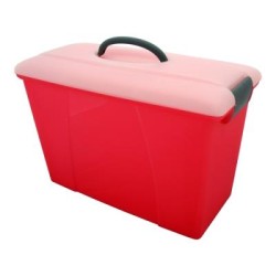 CARRY CASE SUMMER COL PINK/CLR